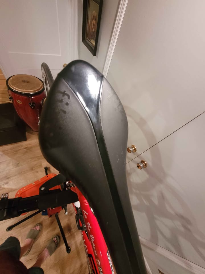 2009 Pinarello FP3 photo 4