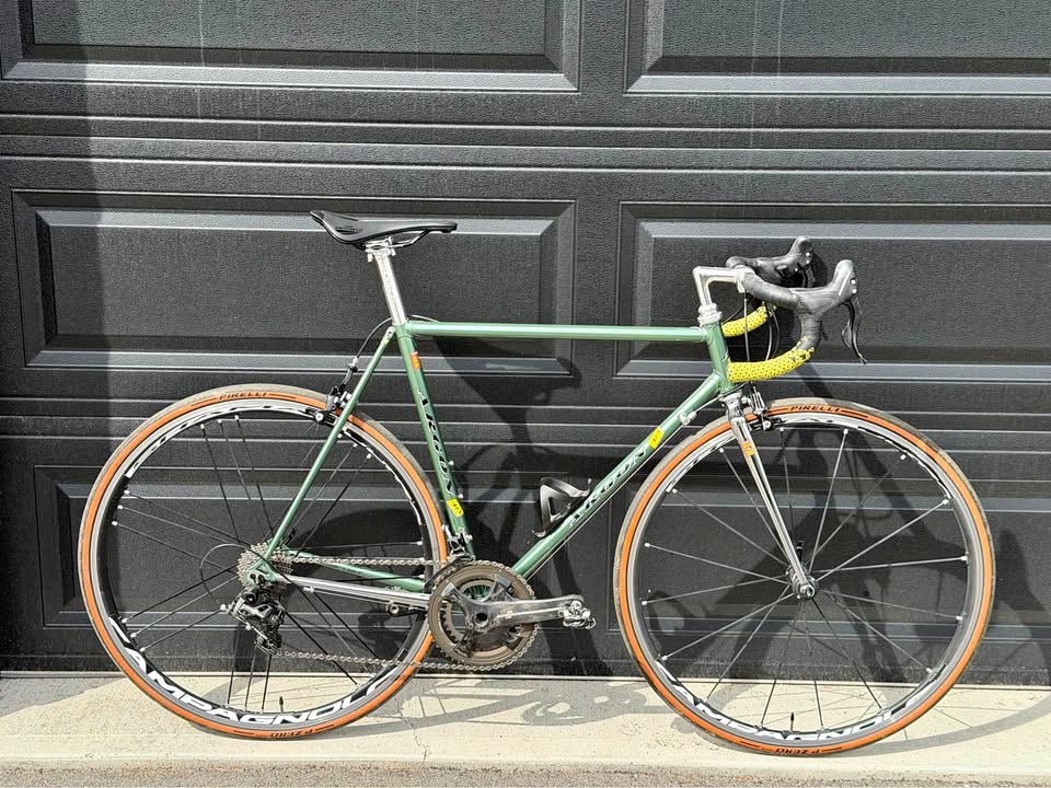1995 Argon 18 Custom Steel Build
