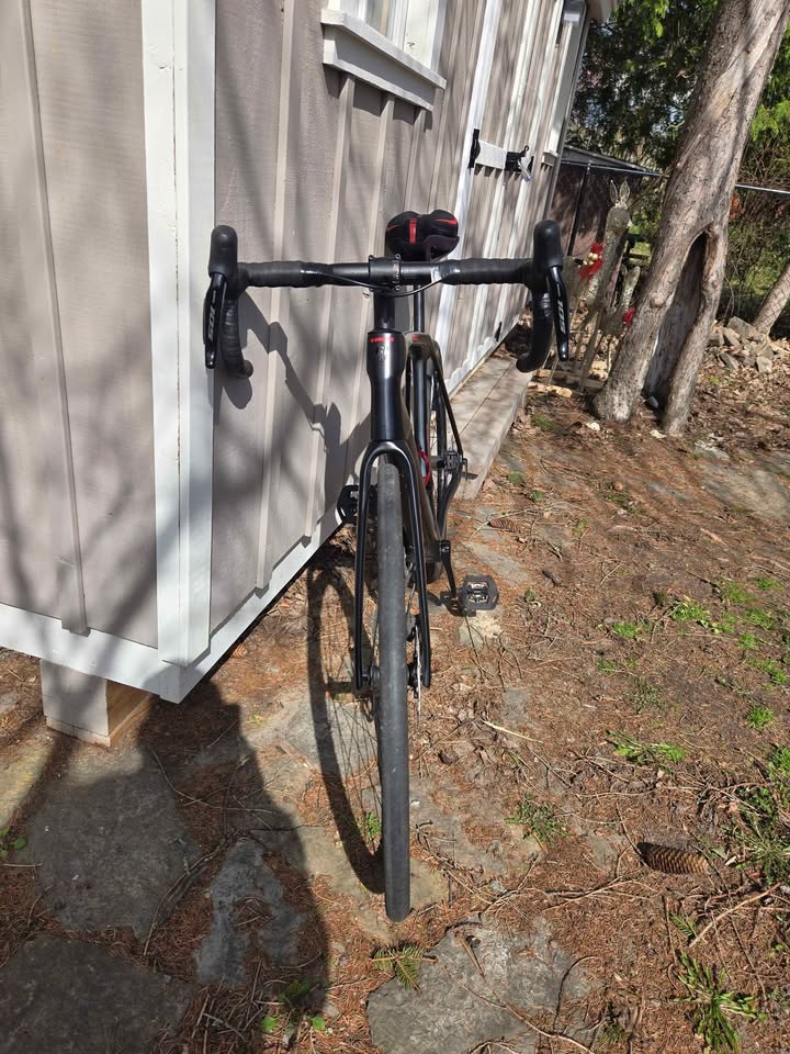 2023 Trek Domane photo 2