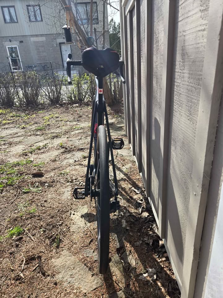 2023 Trek Domane photo 3