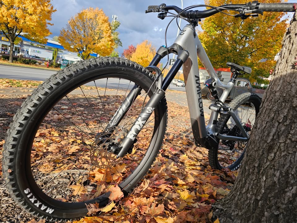 2025 Other Amflow PL Carbon (800Wh)