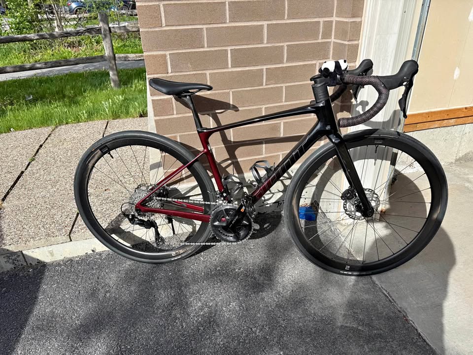 2024 Giant Defy Advanced 2