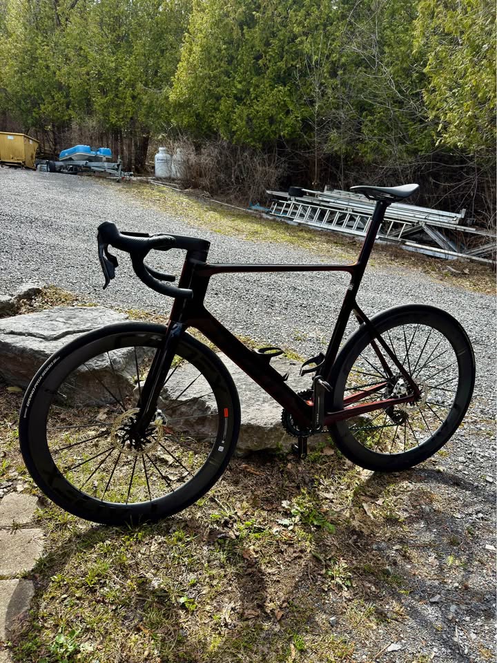 2025 Giant Propel SL photo 2