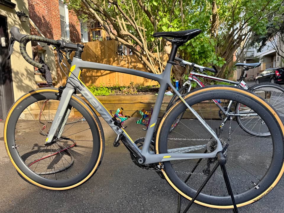 2024 Devinci Leo