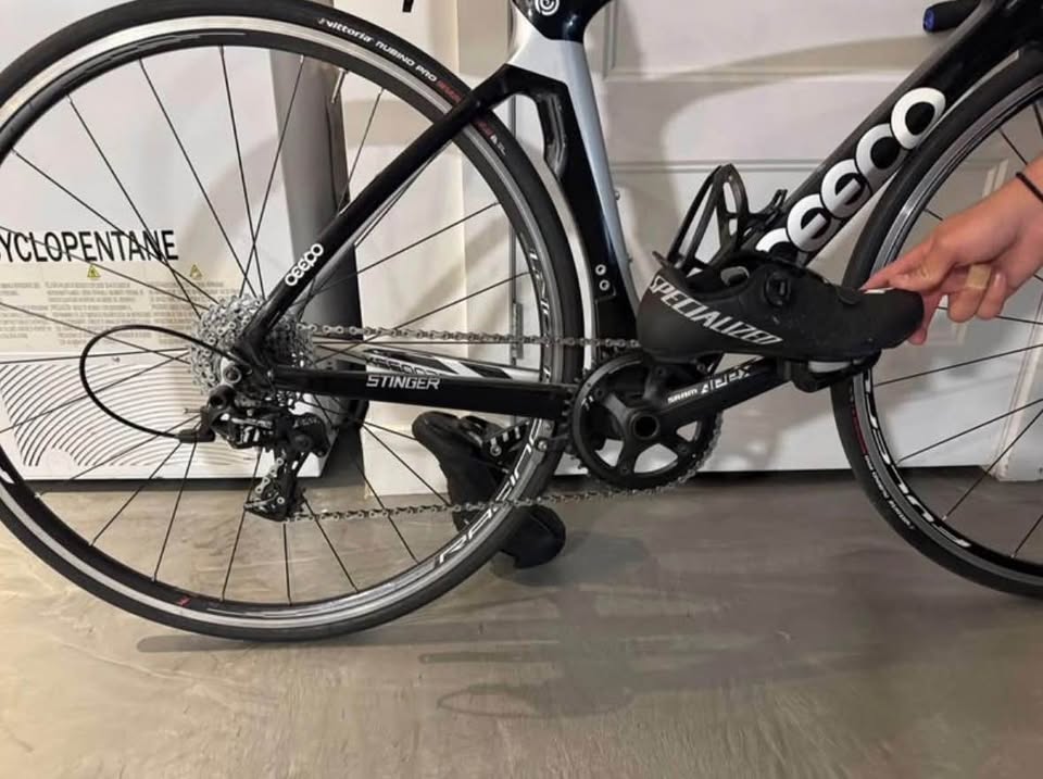 2021 Other Ceepo photo 2