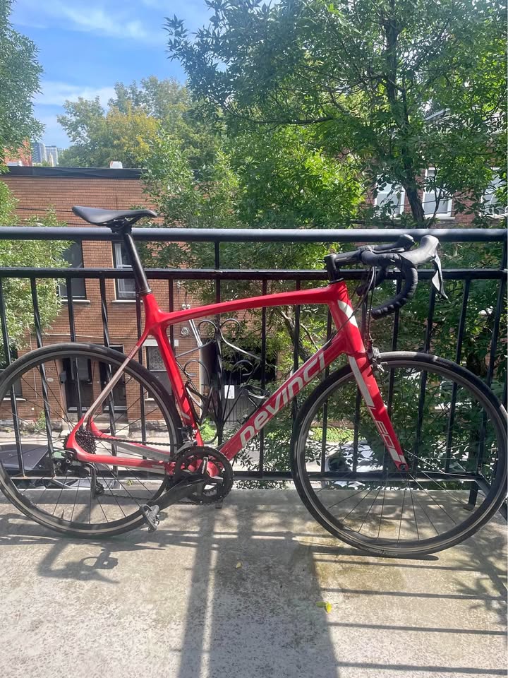 2022 Devinci Leo