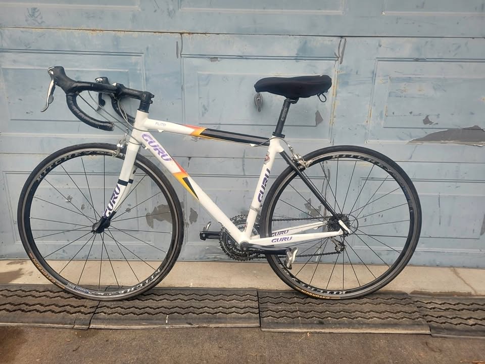 2020 Guru Flite